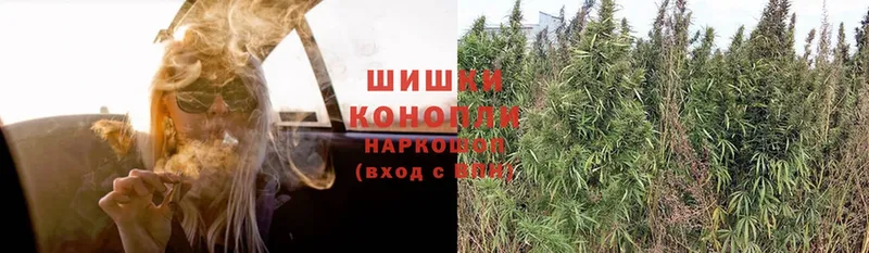 Канабис LSD WEED  KRAKEN маркетплейс  Сокол 